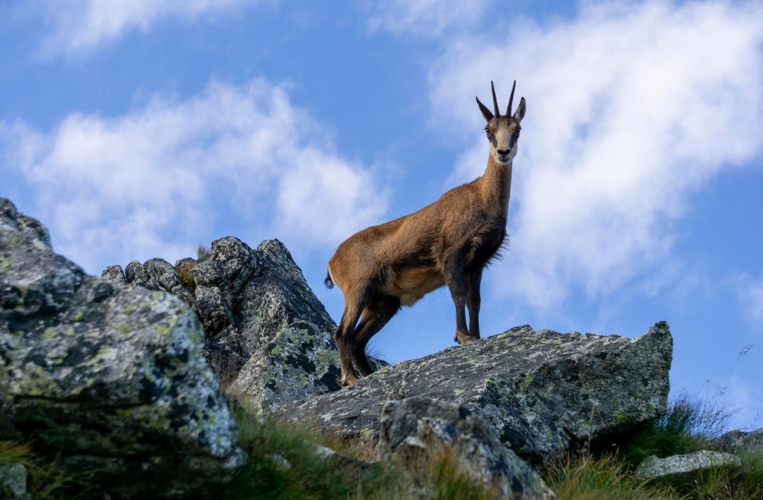 Vysoké Tatry - Canva (5)